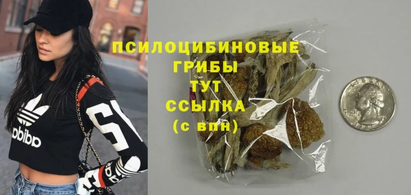 бошки Алексин