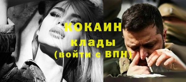 ПСИЛОЦИБИНОВЫЕ ГРИБЫ Алзамай