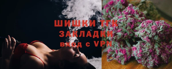 ПСИЛОЦИБИНОВЫЕ ГРИБЫ Алзамай