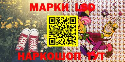 шишки Гагарин