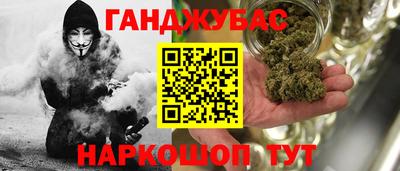 шишки Гагарин