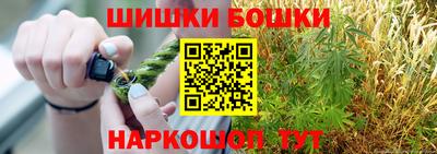 тгк Гай