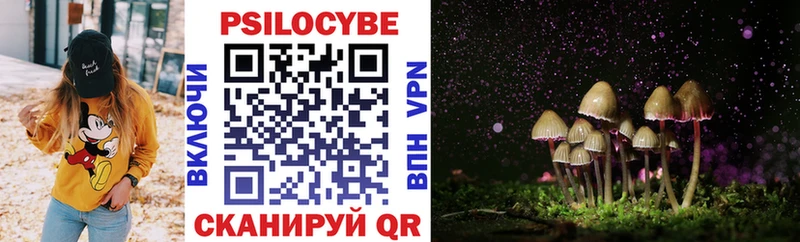 blacksprut как зайти  Ипатово  Галлюциногенные грибы MAGIC MUSHROOMS 