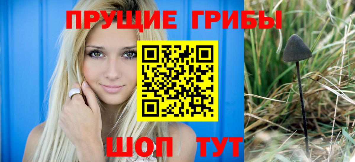 Псилоцибиновые грибы прущие грибы Ипатово